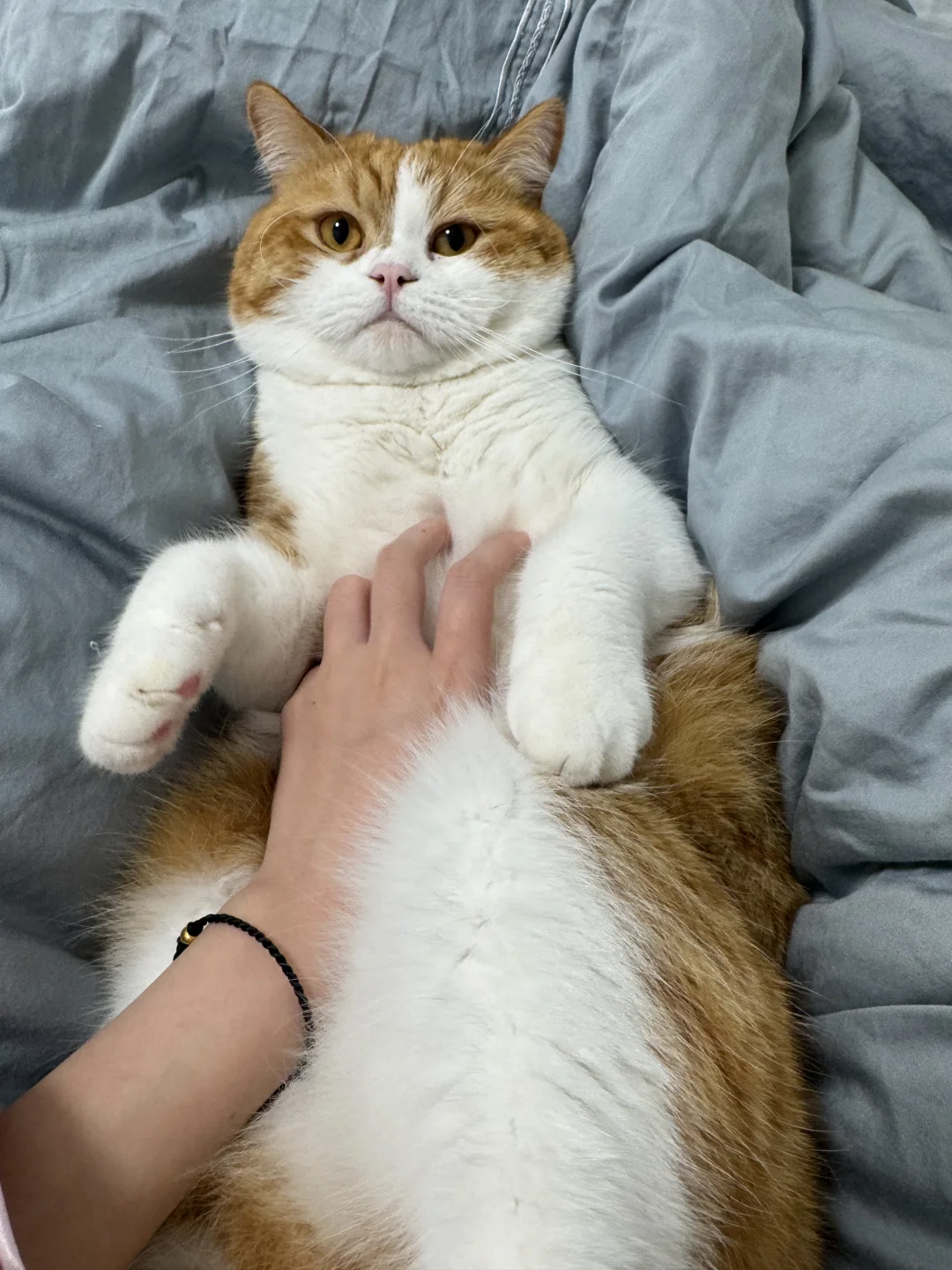 谁家宝宝可以被揉肚子呀