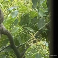 1900每一分自信和优雅的背后，都有一份对梦想的追求和坚持，有时候，成功和失败之
