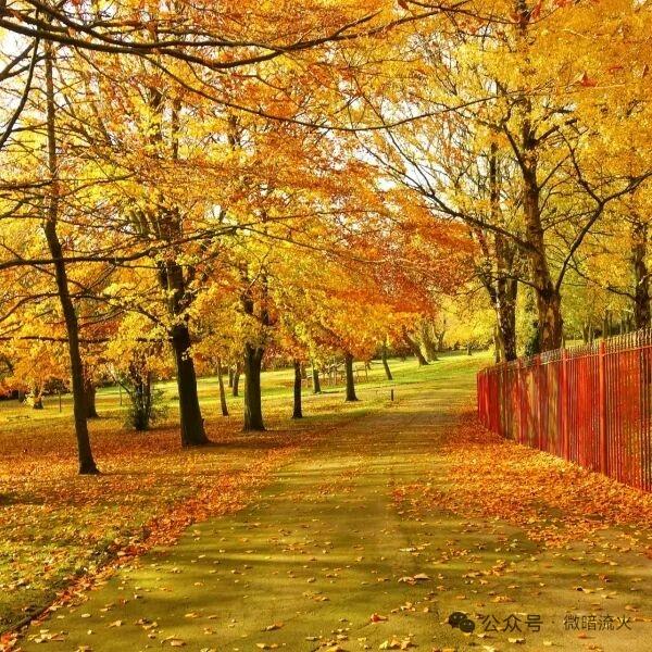 殿前欢·秋别
冷飕飕，
寒风穿透薄衣裘。
颊生冷意时光骤，
秋近终休。
深巷黄叶