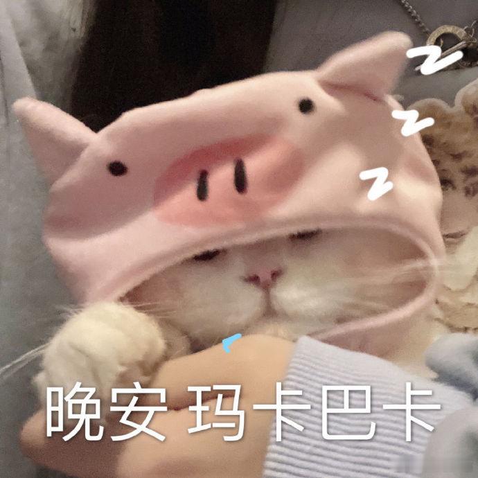晚安💤 ​​​