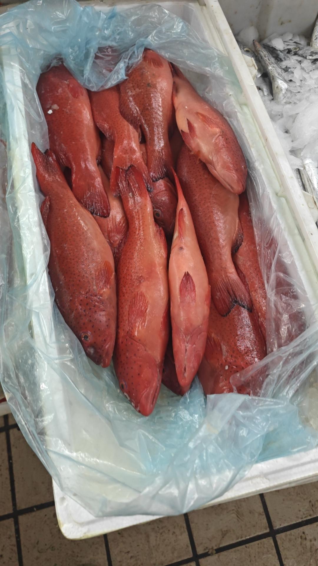 点赞浙江，服务理念绝对遥遥领先！