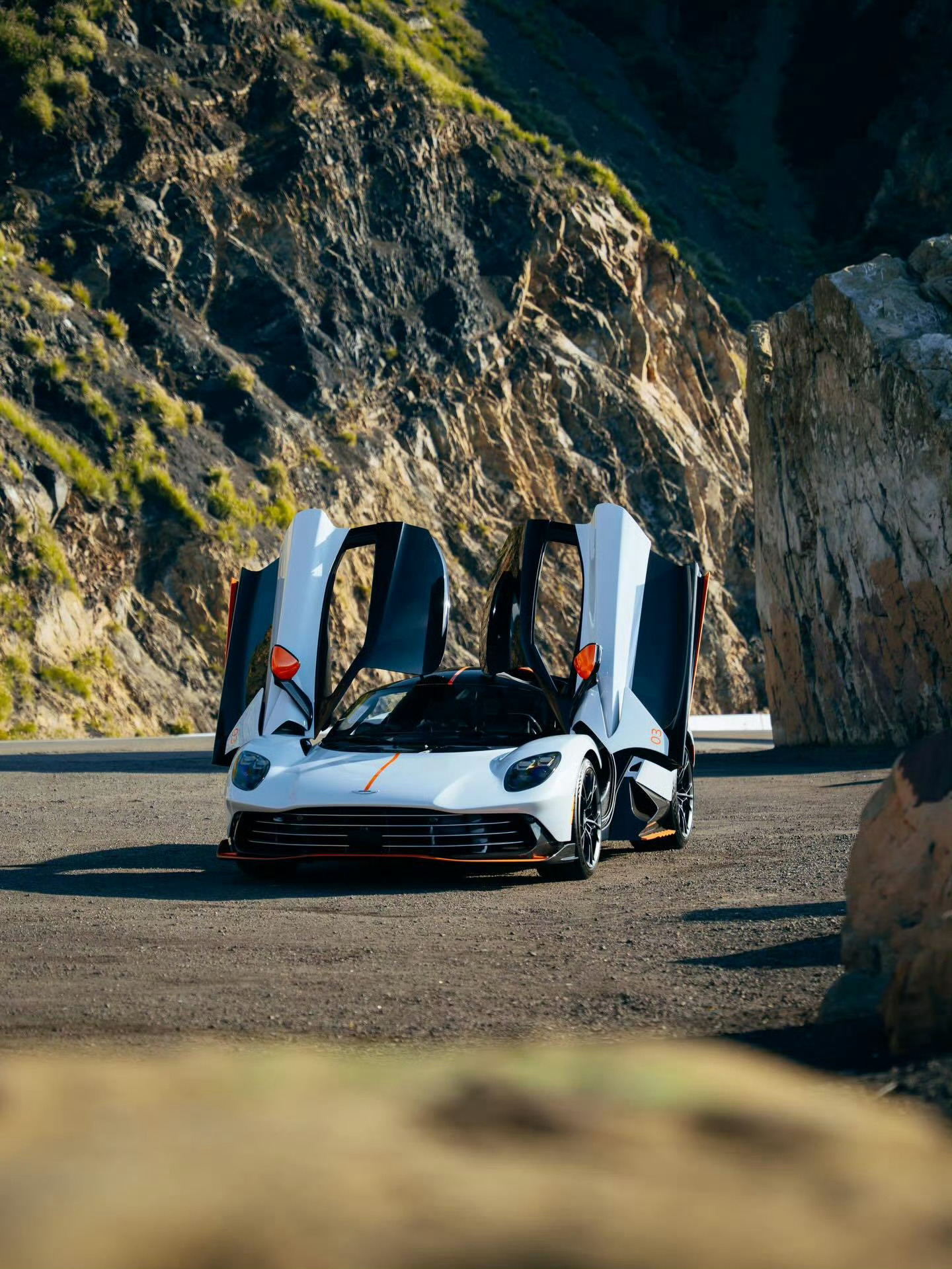 阿斯顿·马丁 Valhalla