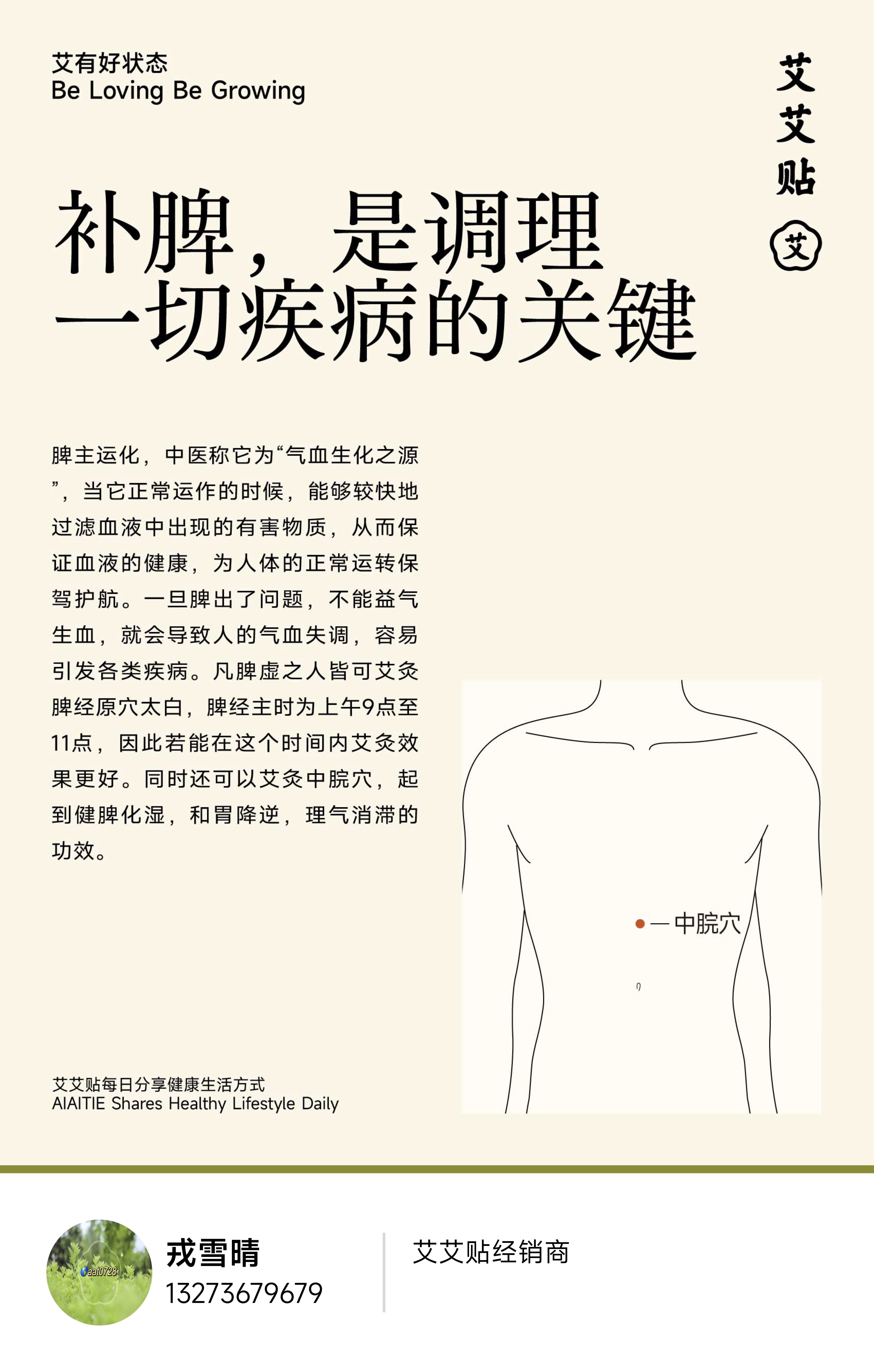 养生小知识  艾灸  【每日健康生活小知识】健康百科 ｜补脾，是调理一切疾病的关