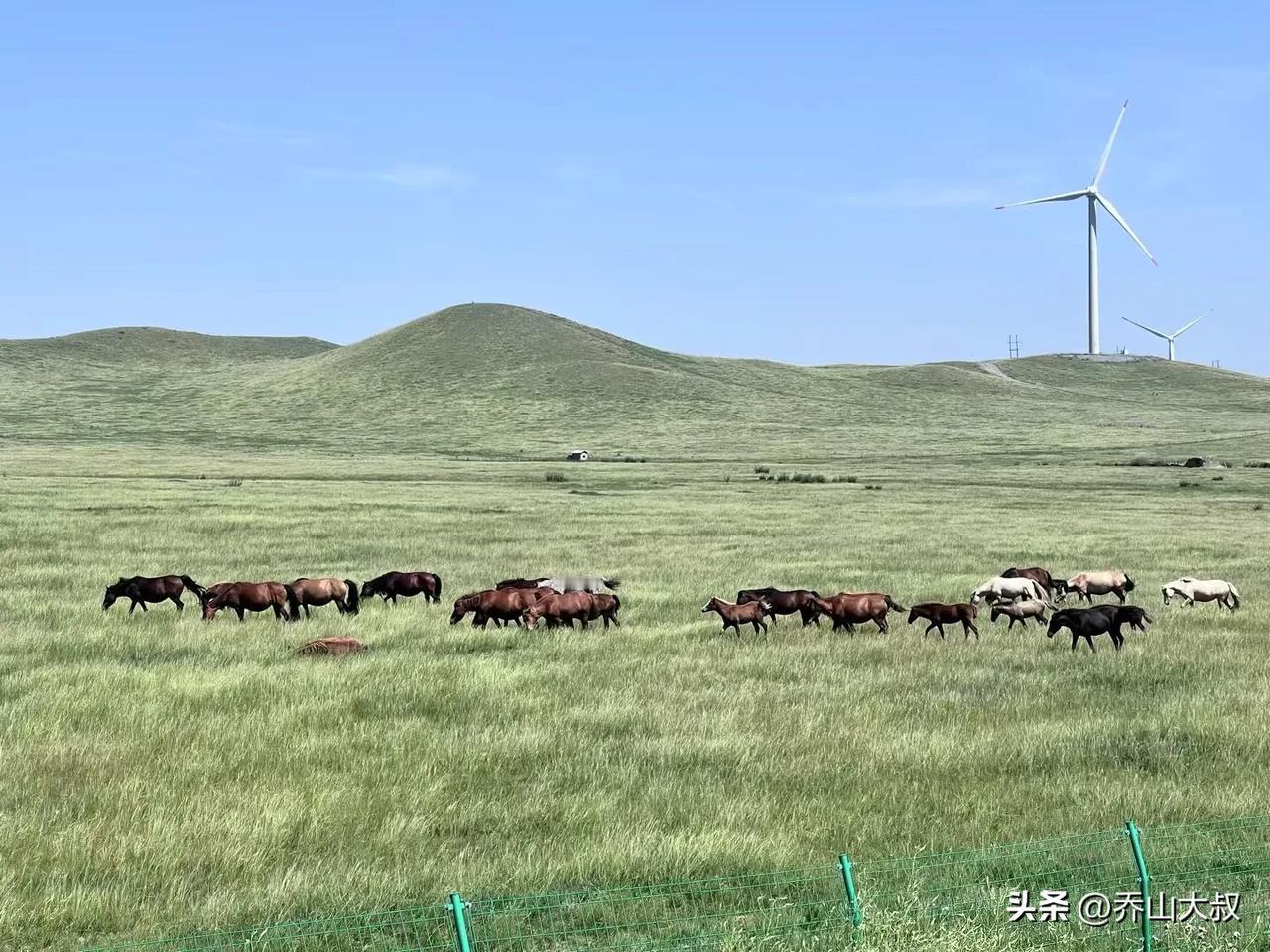 《道德经·第十六章》中讲：“归根曰静，静曰复命。”世间万物的本源便是静，只有静才