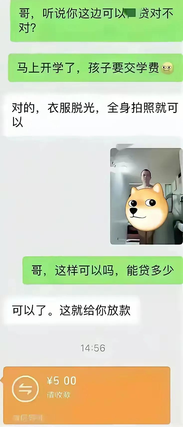 终于撸到网贷了。