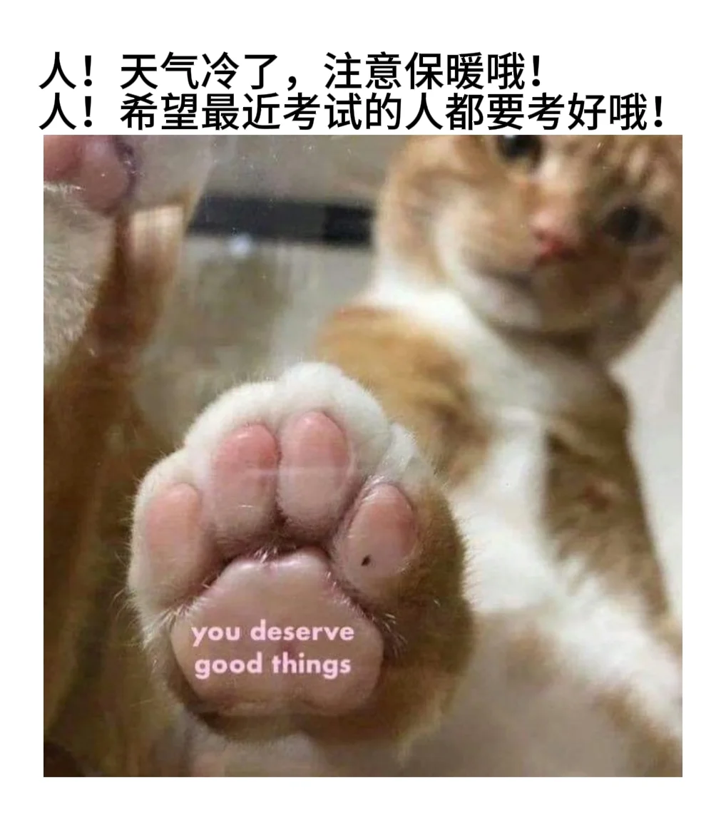 猫猫梗图:人！要加油哦！