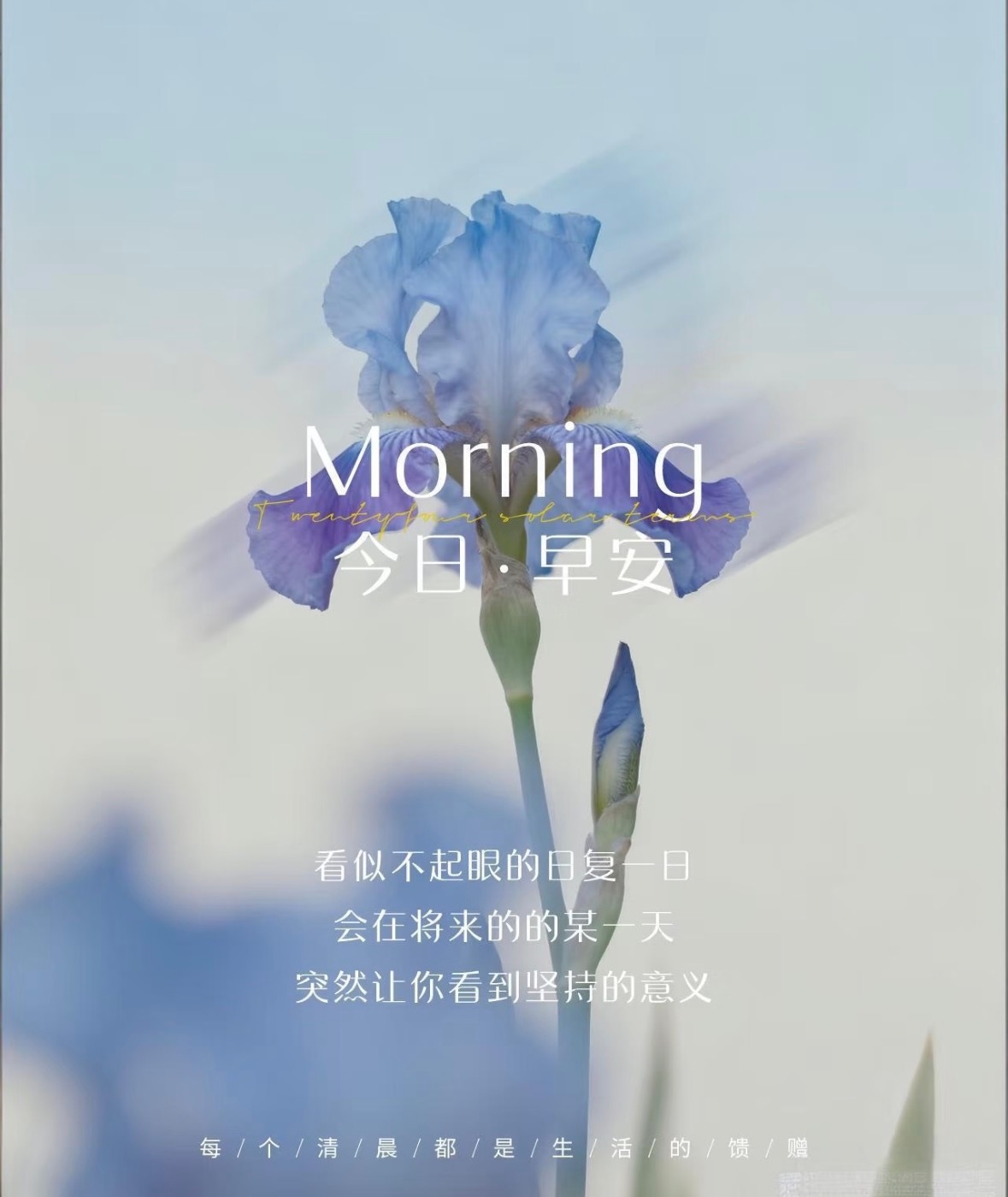 生活最好的状态，是满怀热忱，从容自在。用心捕捉生活里微小的温暖，保持乐观心态，在