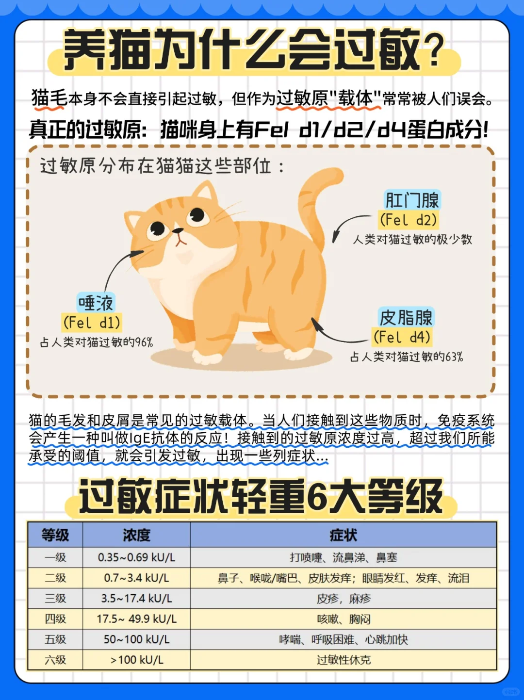 爱猫如命！却过敏…养猫人自救指南