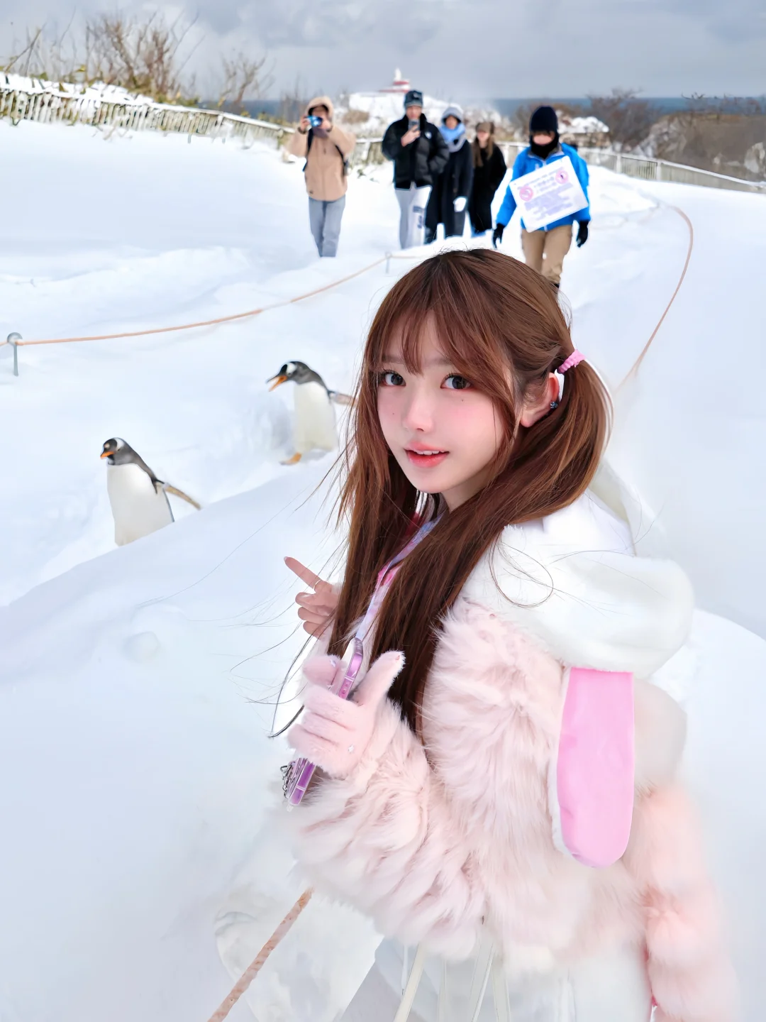 存一点水族馆拍照姿势🐬