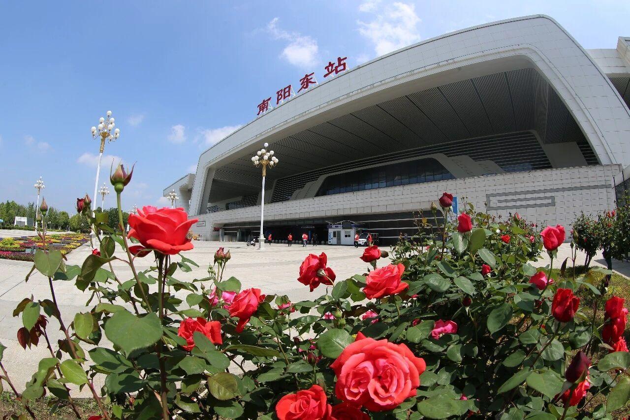 喜讯，世界级花事来了！
南阳作为世界月季联合会永久举办地，拥有全球最大的月季种质