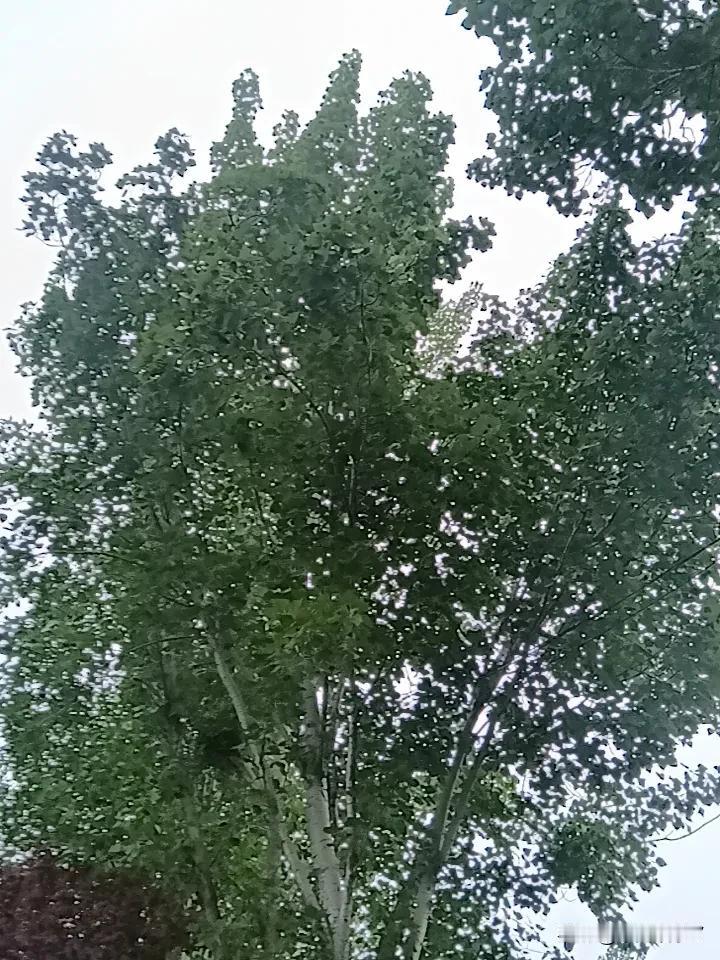炒股的要求必须降低！

过个周末，冷静想了想！炒股不要想的太多，要“先不亏，再赚