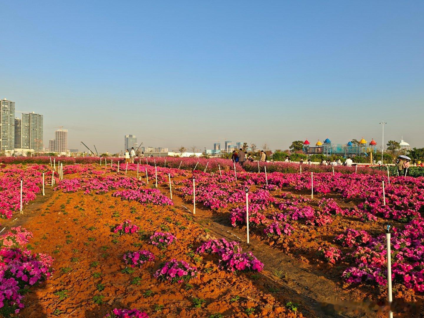 2030年起＿[ 智能+ ]，将加速物理世界和数字世界的融合重构360行的商业与