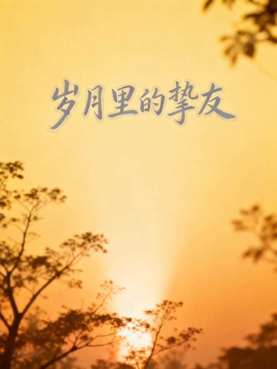 人越长大，朋友确实越来越少，甚至没朋友，这是很多人的真实写照。
年轻时，朋友聚在