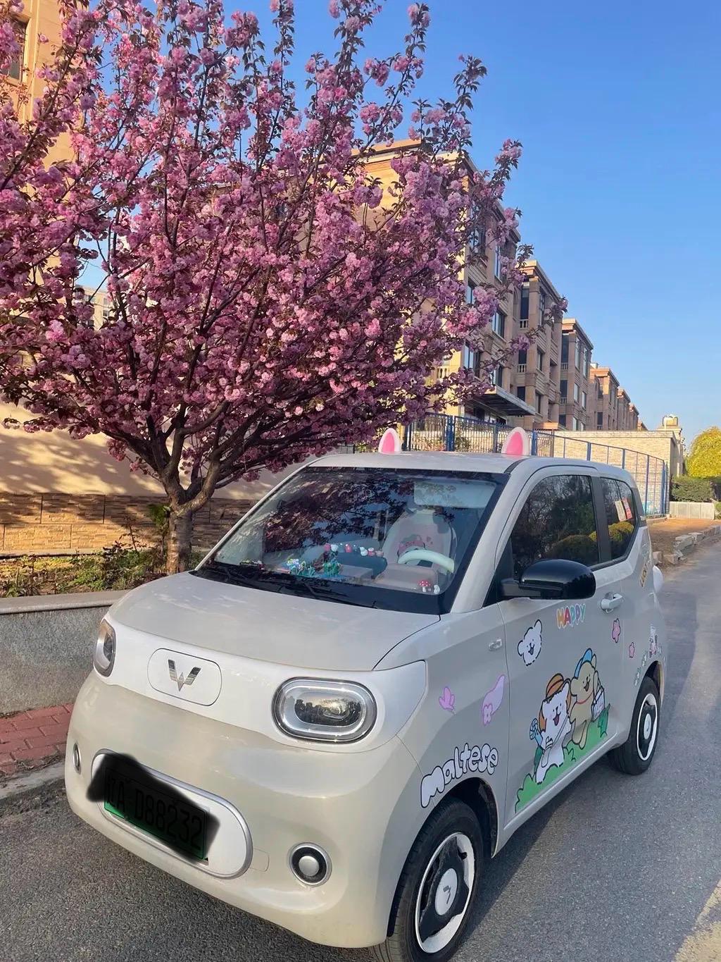 家人们谁懂啊！我的宏光MINIEV 2024青春版（215km磷酸铁锂）真的是“