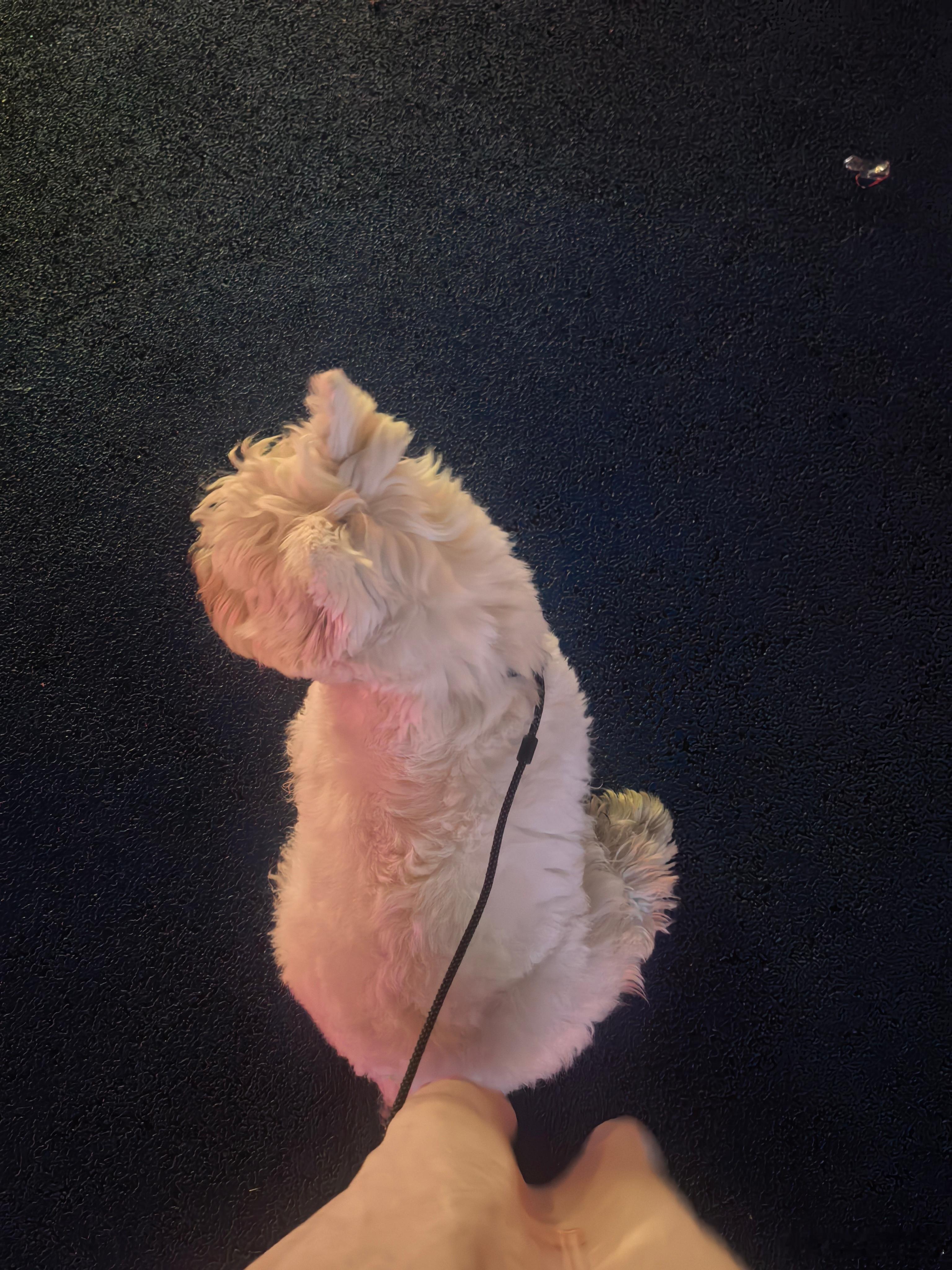 工作结束，回家睡觉 