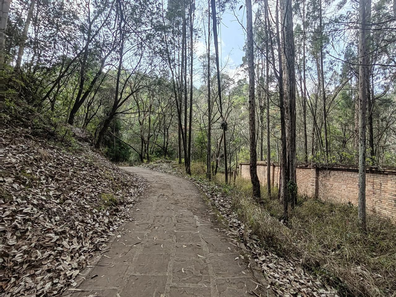 没跑步锻炼前，爬山很轻松，在平原锻炼了小半年，感觉身体改善很大，想着登山会很轻松