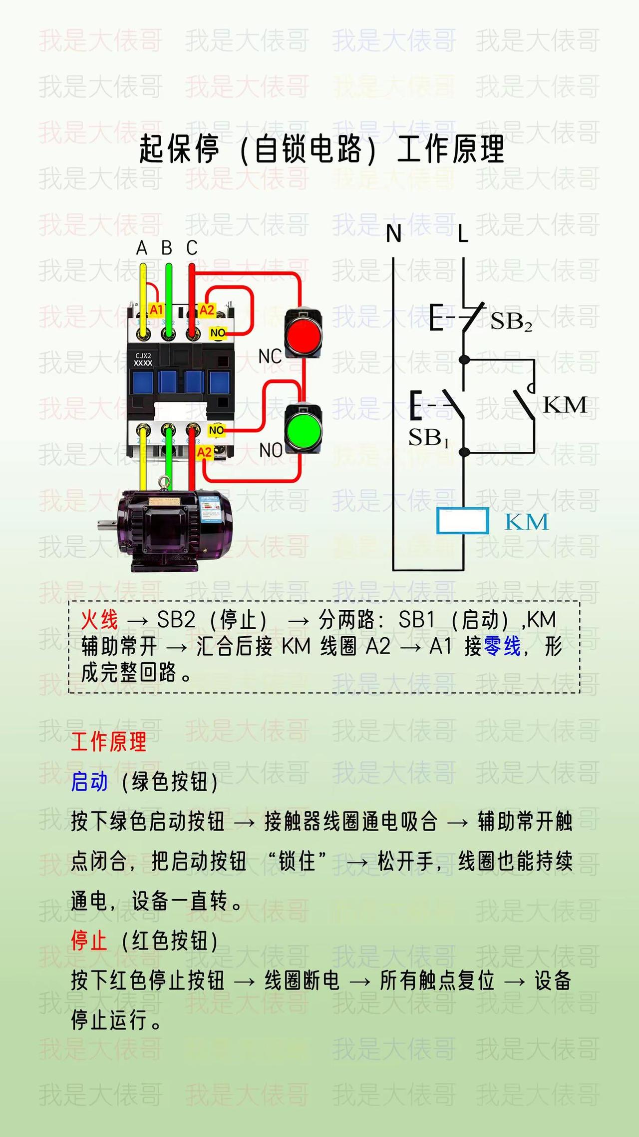 起保停电路工作原理，实物接线。电工知识 零基础学电工 电工教学