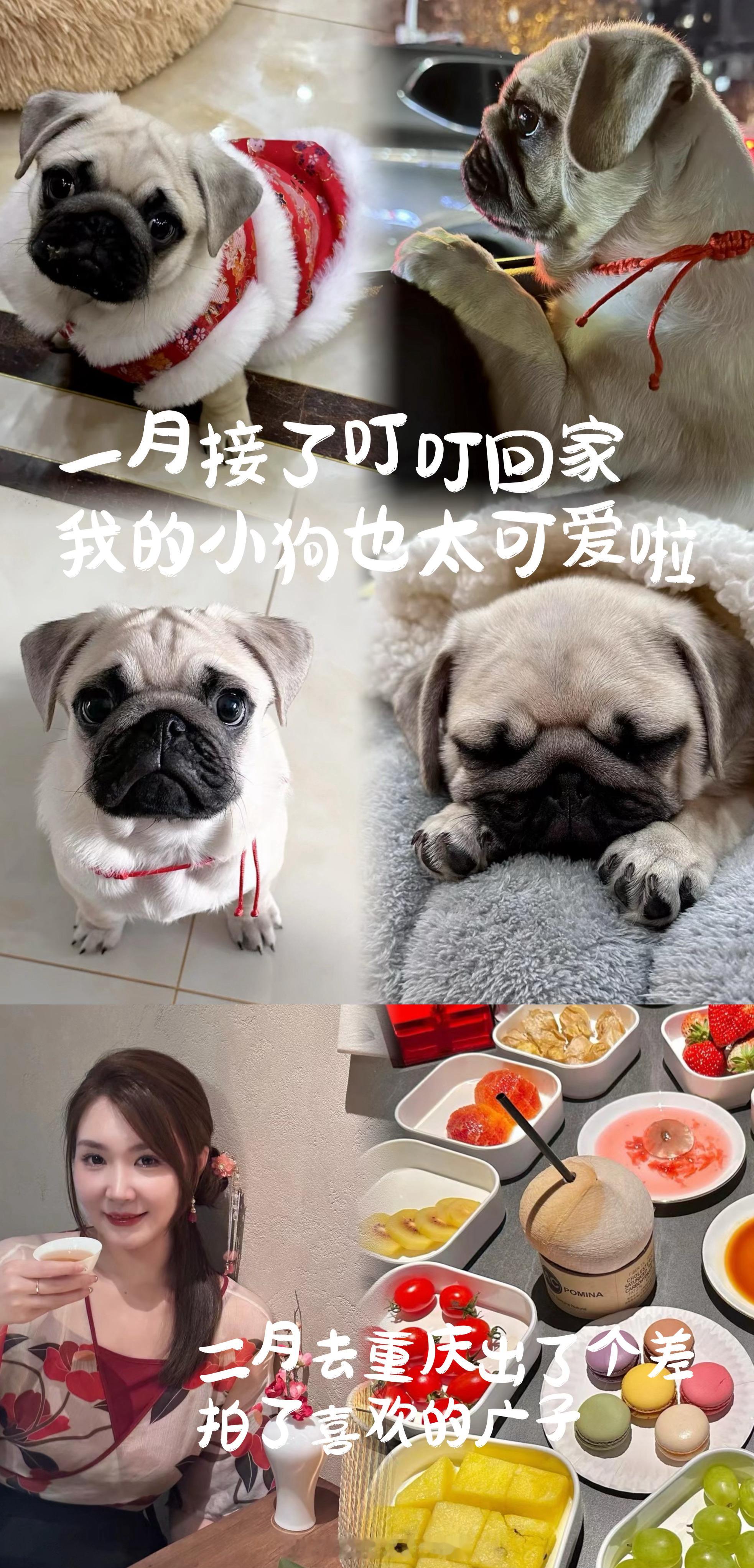 重要的人都在身边我的小猫🐱和小狗🐶都健康快乐去了很多地方 拿了一些奖想要的都