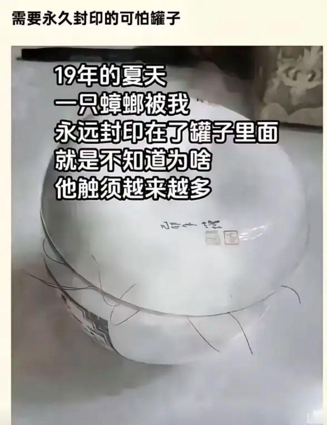 这哪是封印蟑螂，这分明是养出了个“蟑螂神龛”😂

2019年你把一只蟑螂关进罐