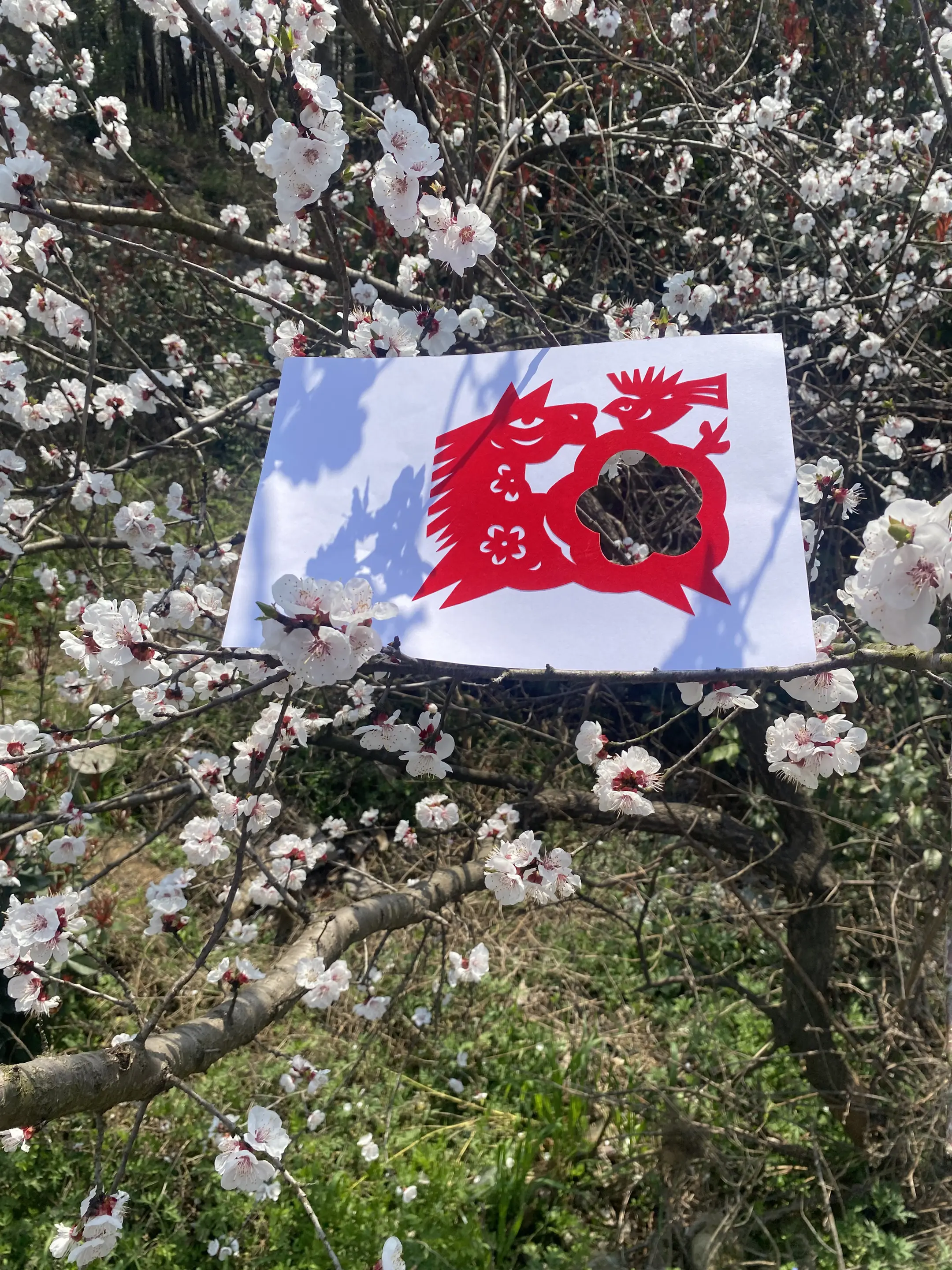 首先你得有意思，然后你的世界才会有意思
