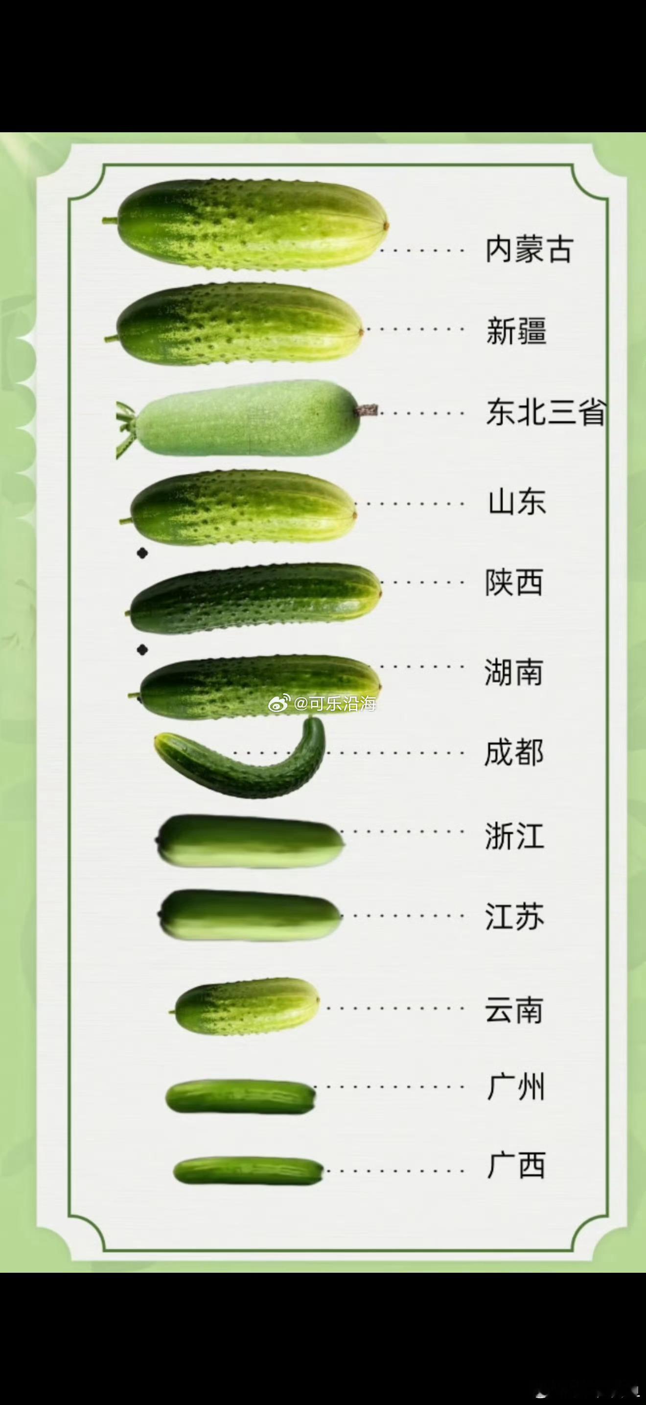 我河北黄瓜呢 
