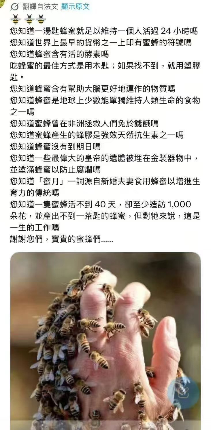 狼与蜜蜂 