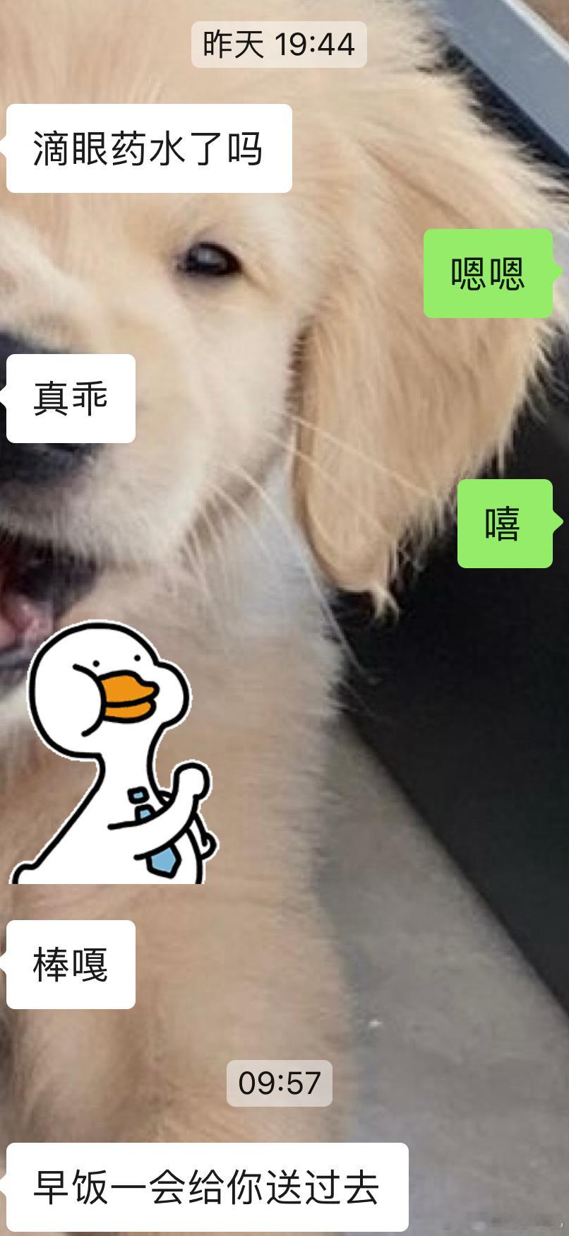 昨晚因为玩手机超时挨了200下戒尺。昨天他陪我去完医院给我点了火锅🍲又去加班了