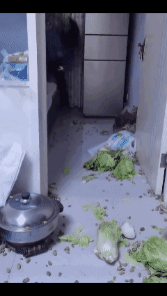 为什么还不离婚？看完这段视频，真的替这个男人心酸。
 
        老母亲千