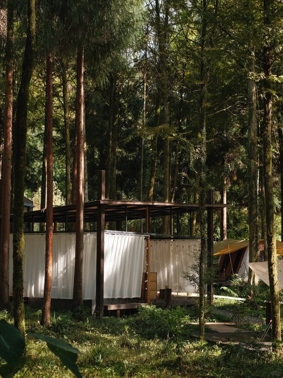 成都2h|试睡邀约｜到山里度个假🏕️