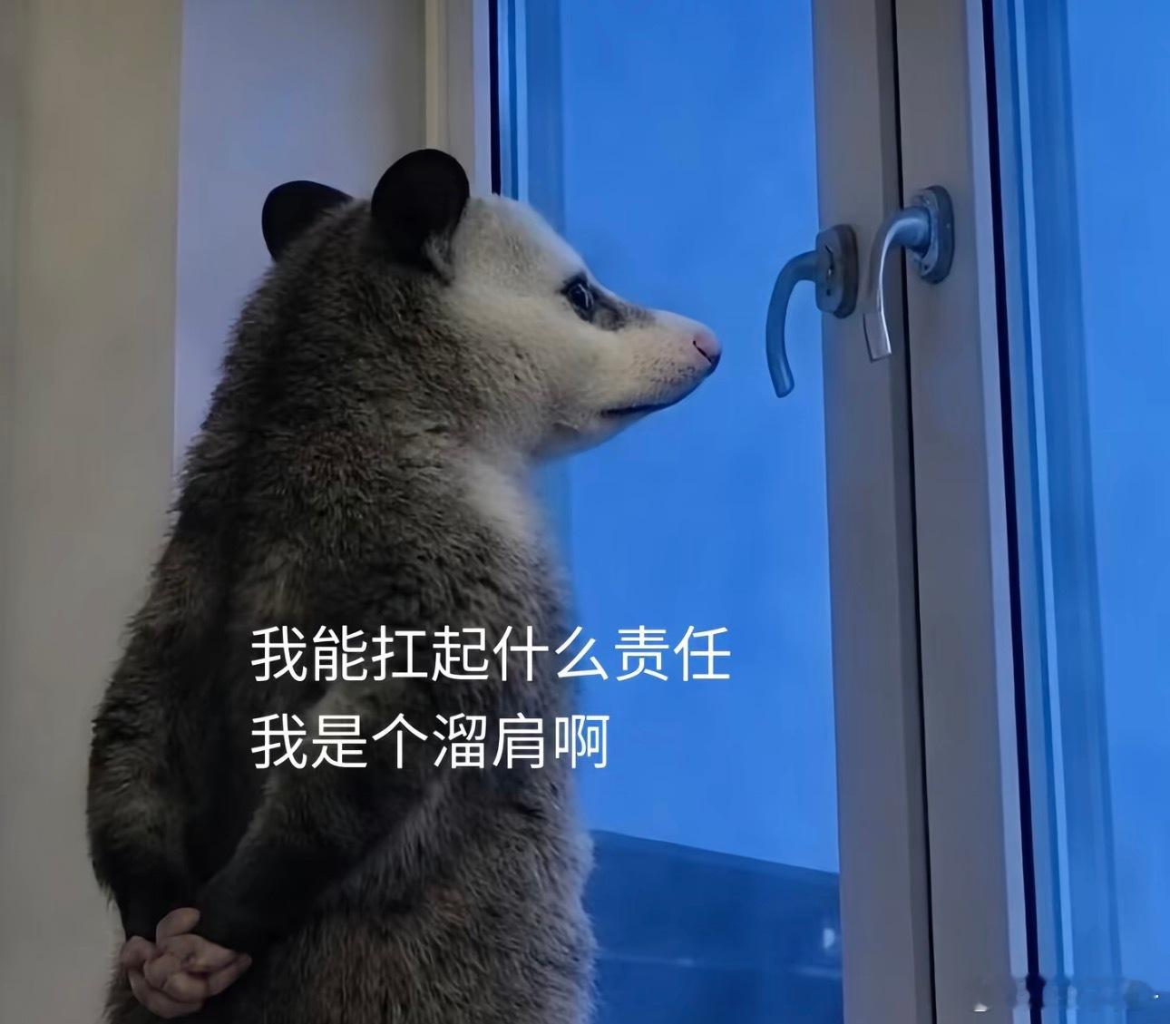 范丞丞拉黑司晓迪没有🏥收这个女的吗？病都这么重了 