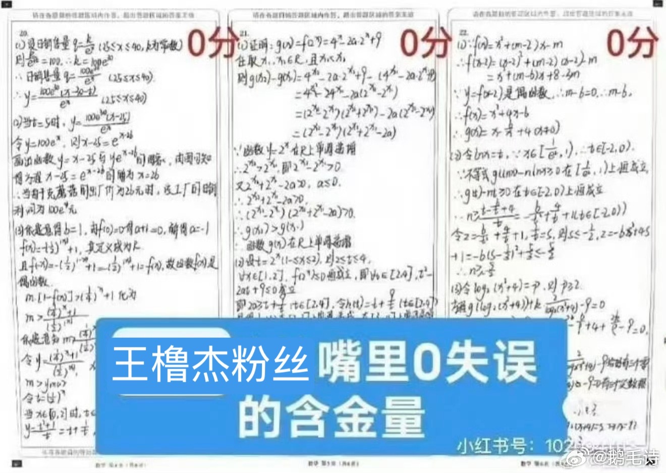 我家噜噜可是0失误 