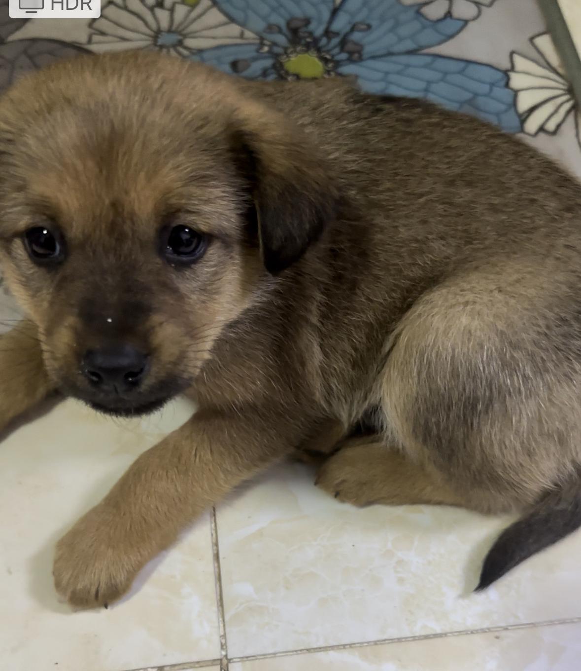 我的今日状态：💰期待暴富
我这里的天气：☀️晴天