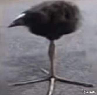 我找不出这有什么区别 
