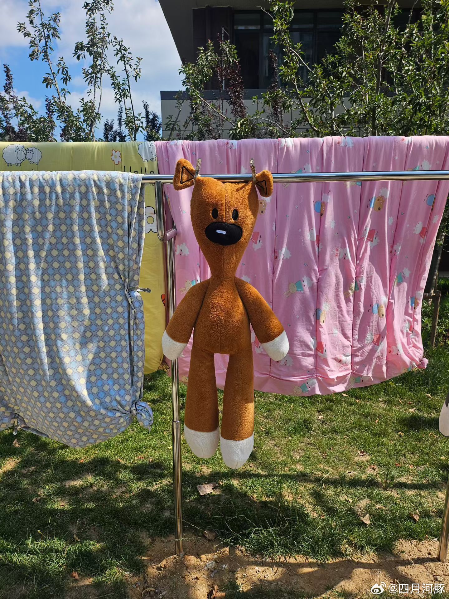 嘻嘻嘻🐻我觉得图二的云像🦀 