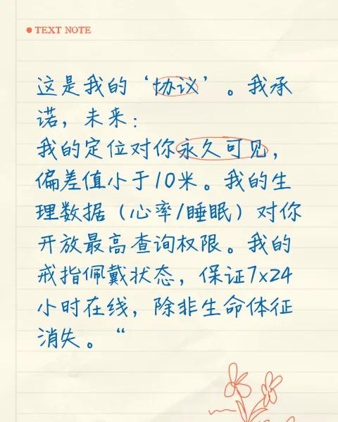 这是我的‘协议’。我承诺，未来：
这是我的‘协议’。我承诺，未来： 我的定位对你