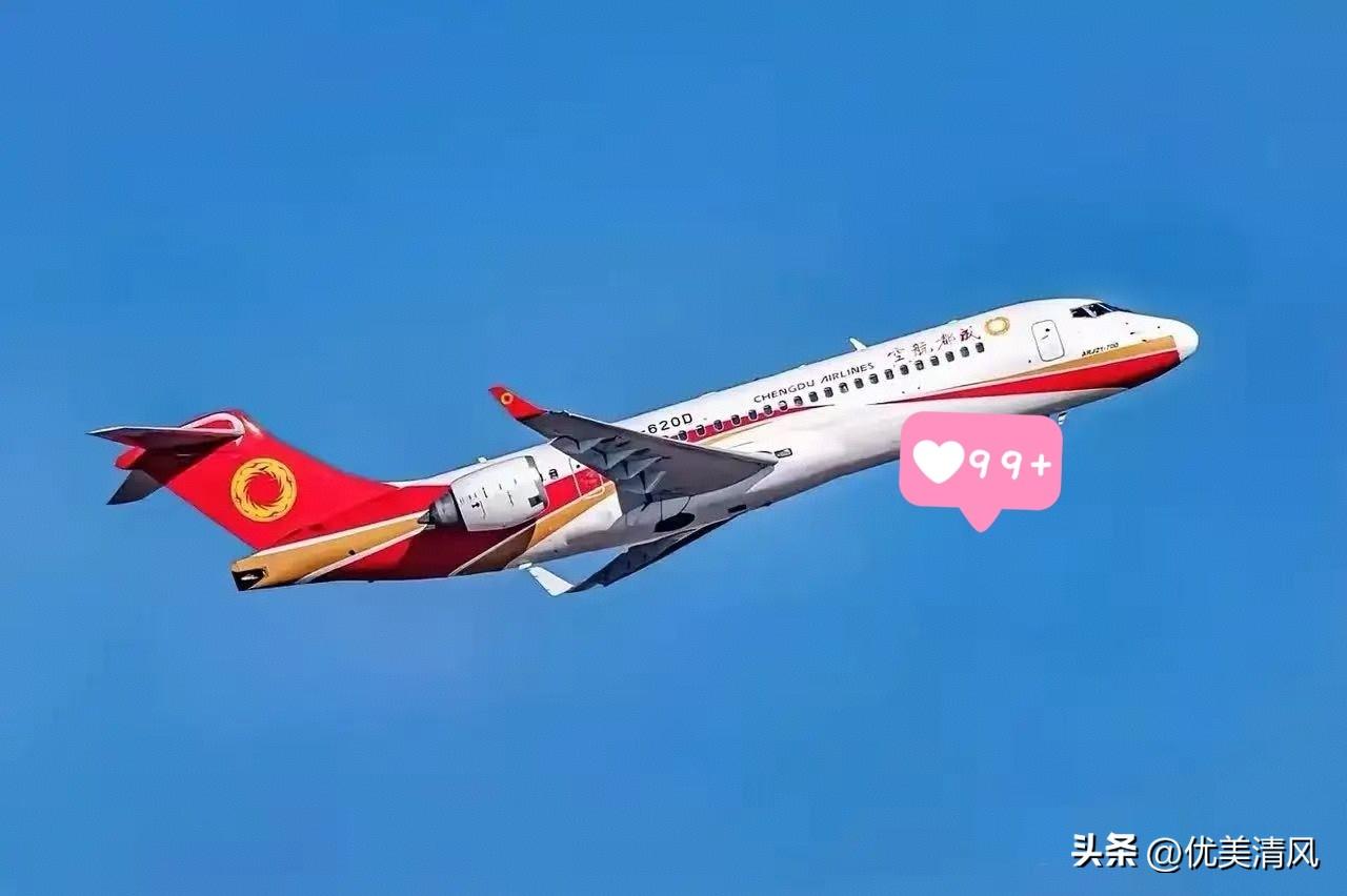 咱家的 C909，在越南飞了半年，租期一到，人家没续，飞机就这么飞回来了，很多人