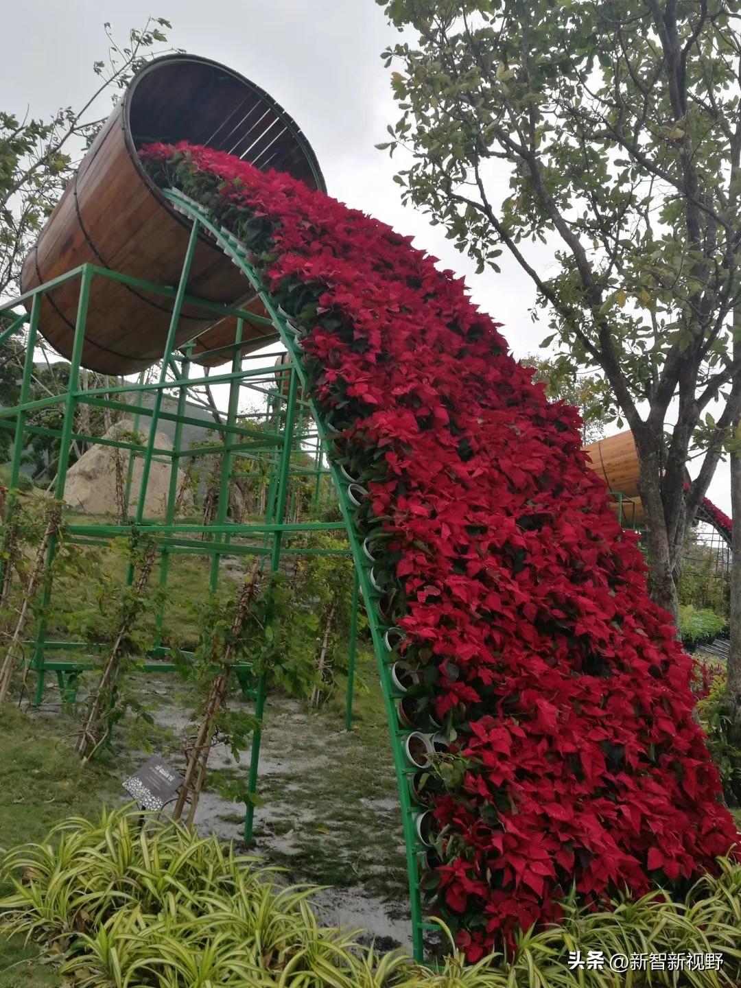 梦幻滑梯，红叶倾泻，童话世界等你来！🌈🌸滑梯户外游乐园 滑梯室内游乐场 彩虹