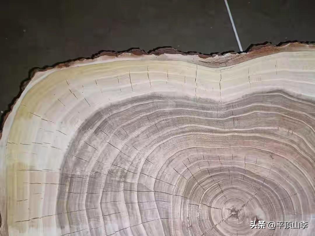 那块老榆木是我在旧货市场淘来的，当时它灰扑扑地躺在角落，没人多看一眼。

我抱回