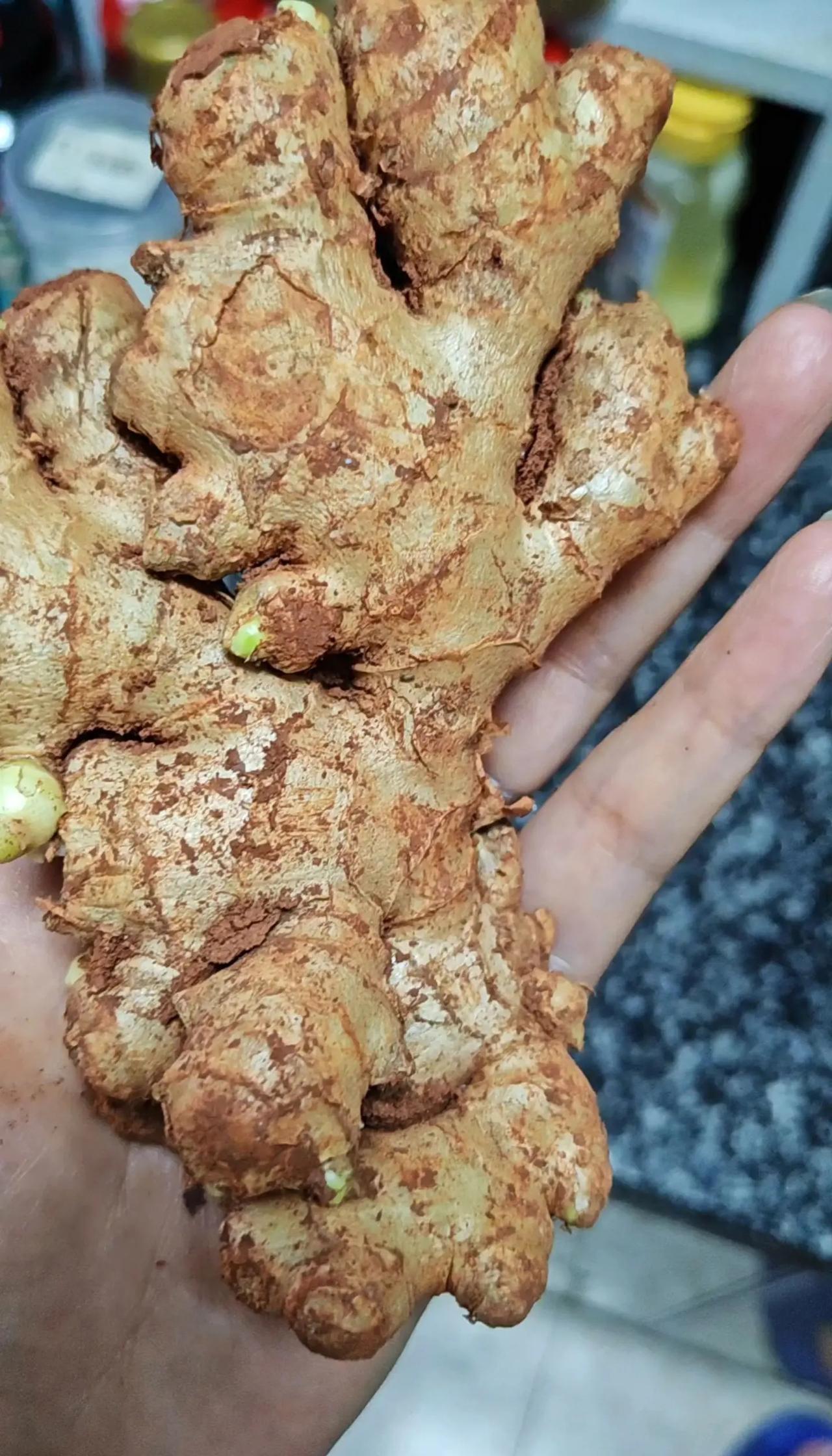 斯诺克世锦赛1/4决赛生姜。2吴宜泽13-8瓦菲，晋级四强!当8强的全员盯着赵心