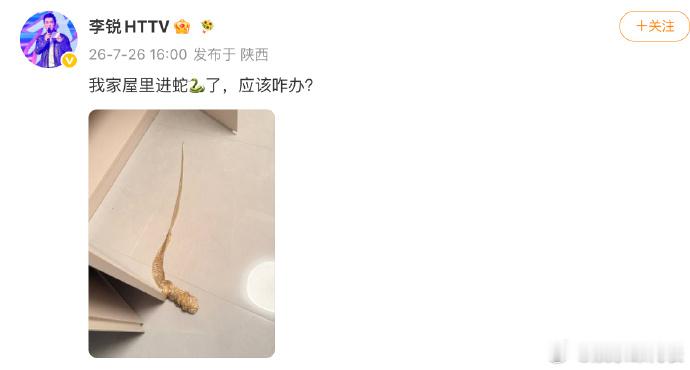 李锐家里进蛇了 李锐发文求助家里进蛇了该怎么办？好吓人！！ 