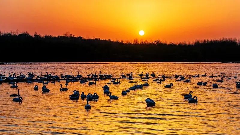 自驾海南之旅104——返程第15站 河南三门峡
 
联盟快讯

一大早，联盟调研