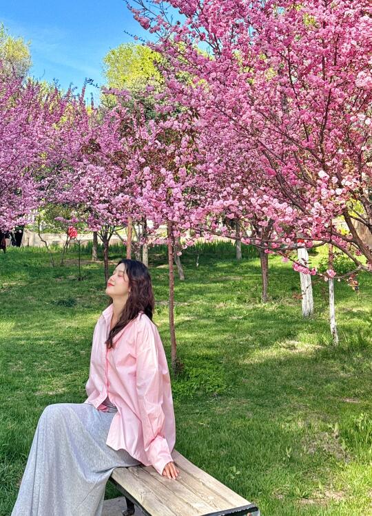 乌鲁木齐红山公园花开啦！郁金香榆叶梅巨美！