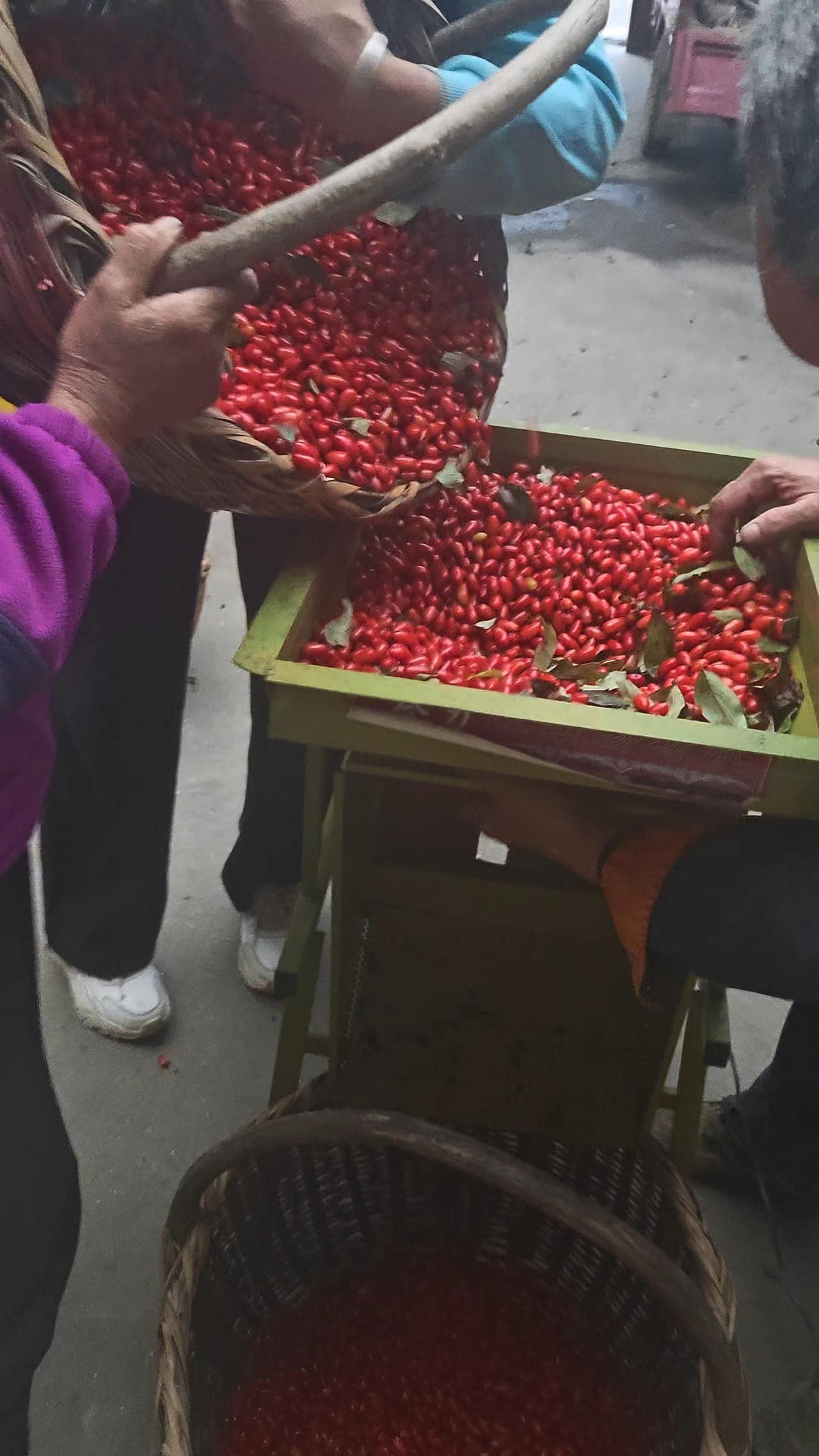 中药材行业现实扎心！
多少人被高位套牢
 
据亳州发改委、中药材天地网1415个