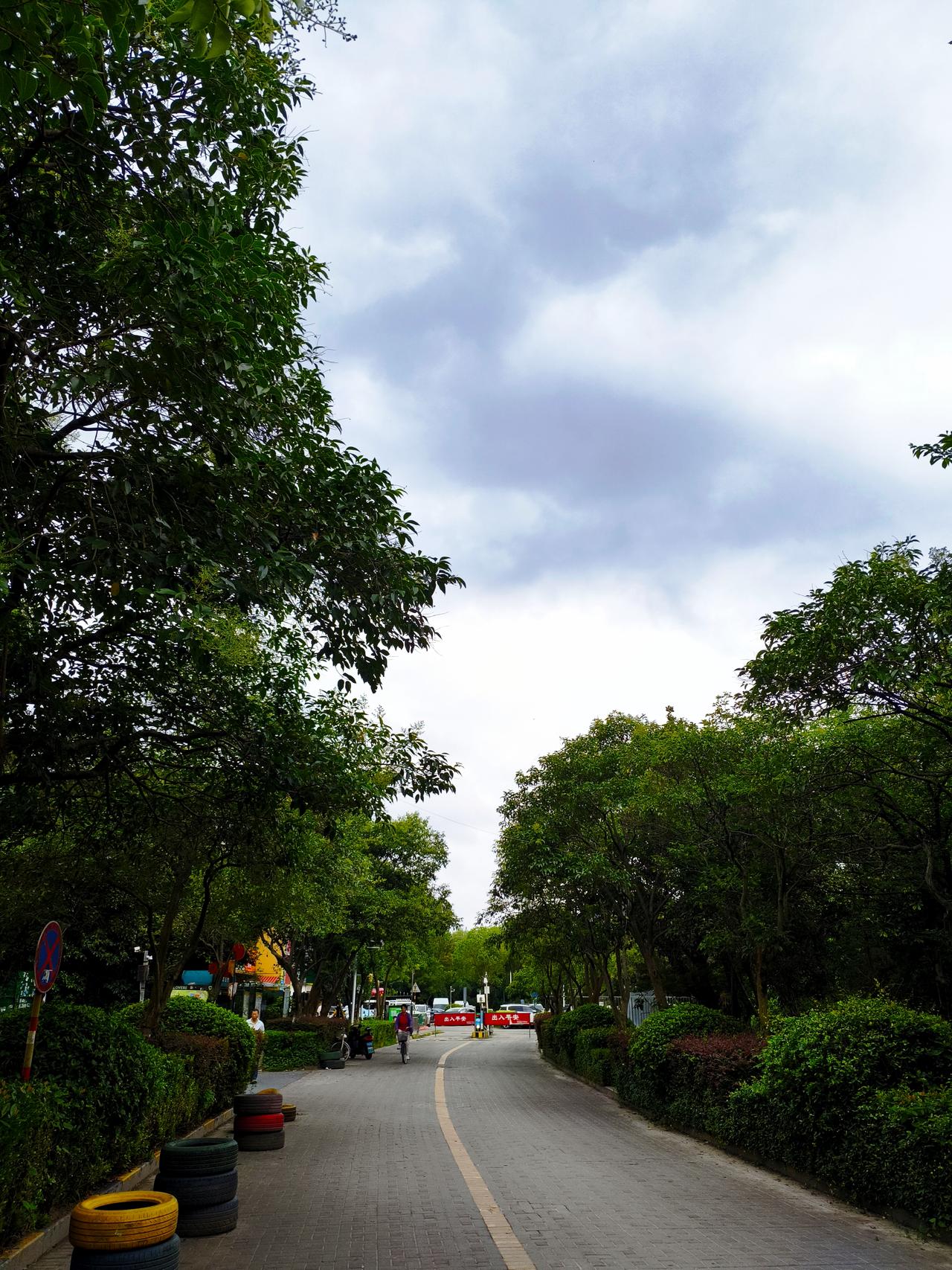台风“巴威”这变化可真让人捉摸不透，居然开始变轨了。现在它的中心在安徽宁国，离南