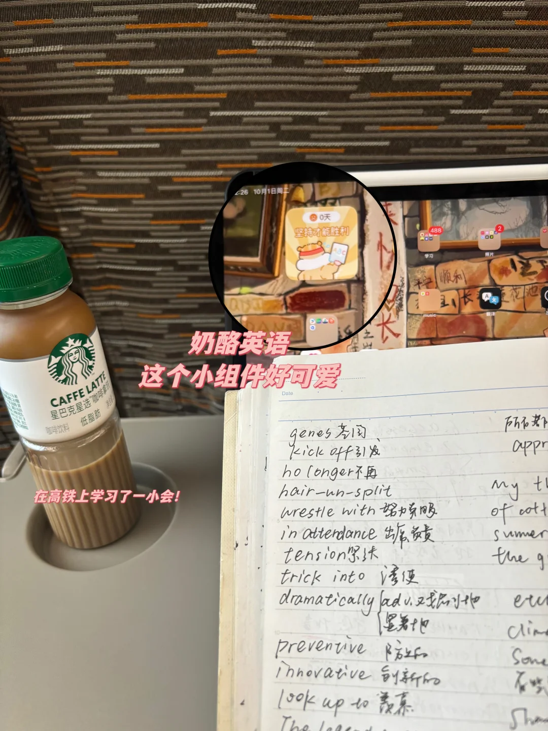 🫶🏻五天过完四级单词我的小秘诀！