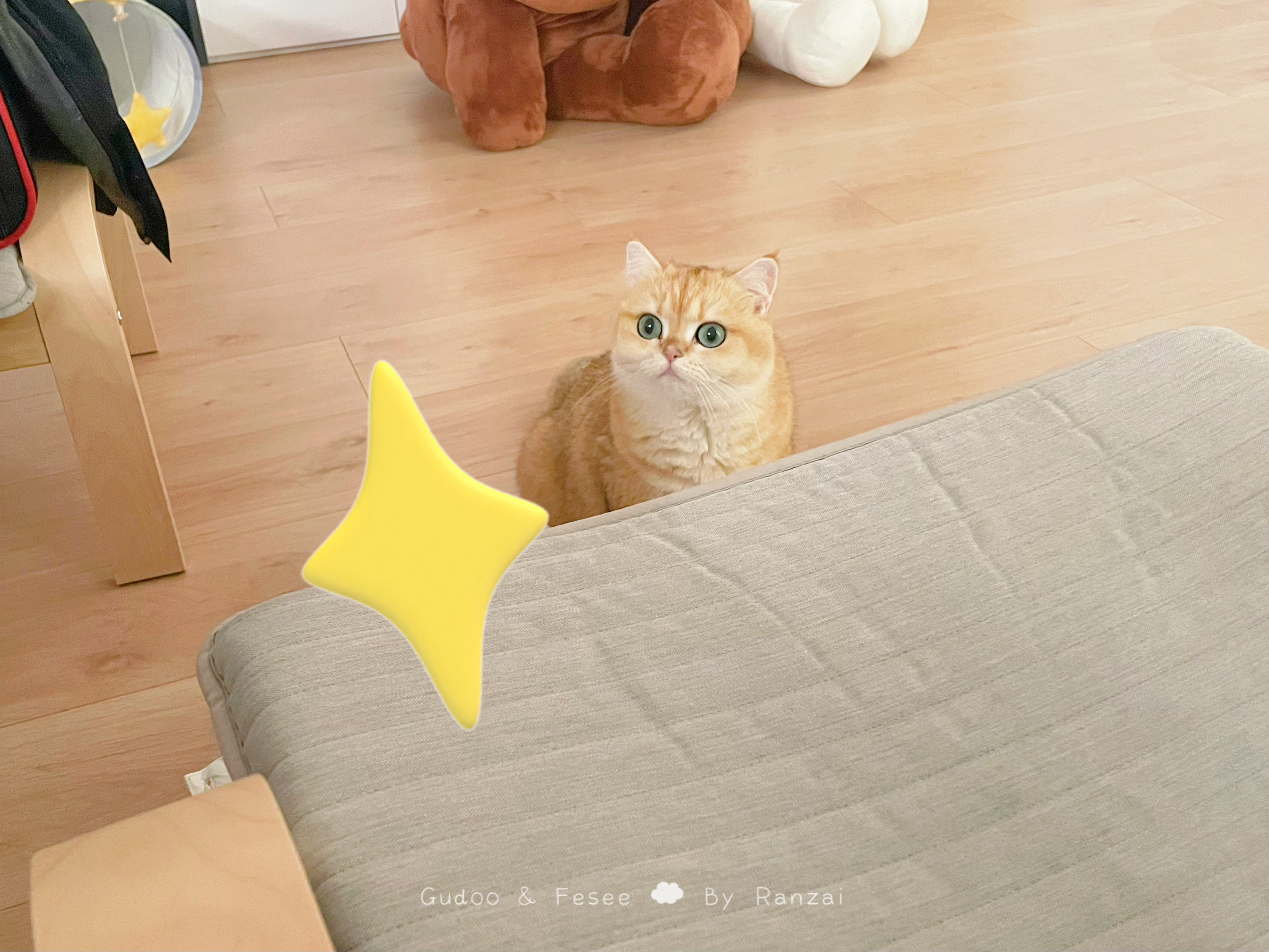 小然子，电视有我好看吗？#菇冬怎么肥四[超话]##萌宠奇妙乐园# ​​​