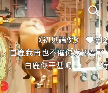 哈哈哈哈哈哈哈哈哈哈骗你的🤪还敢催 