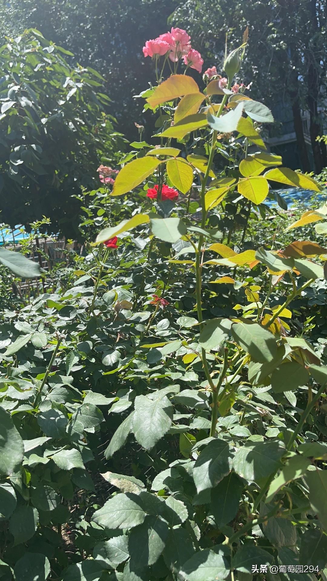 生活中有许多不在意的东西，但是却让你很无奈……
街头的理发师把理发店搞黄了……一