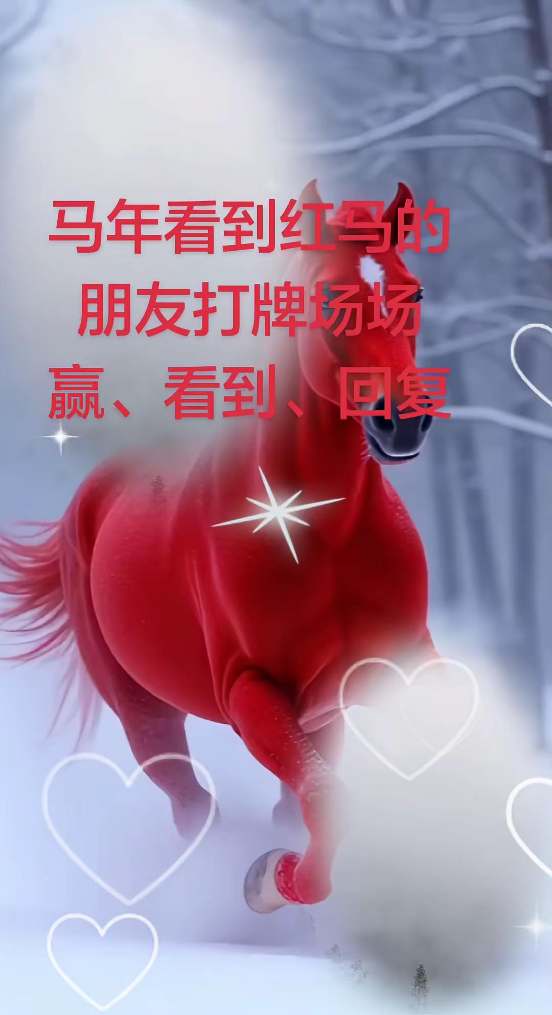 马年红马行大运