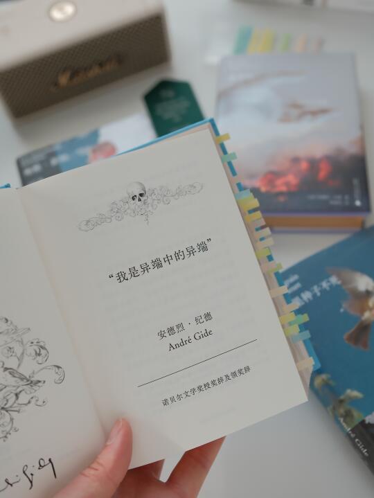 我是异端中的异端，微末之焰也能燃尽荒原